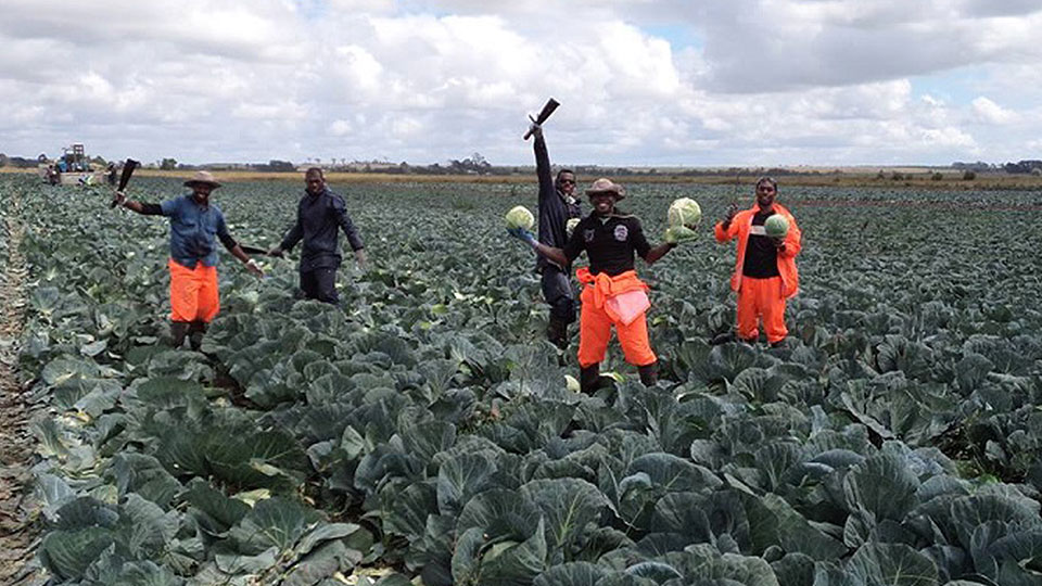 Ministry plans to increase number of seasonal workers FBC News