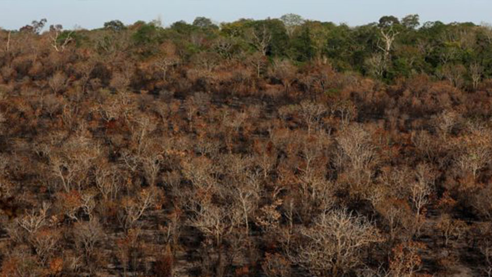 Amazon rainforest belongs to Brazil, says Jair Bolsonaro FBC News