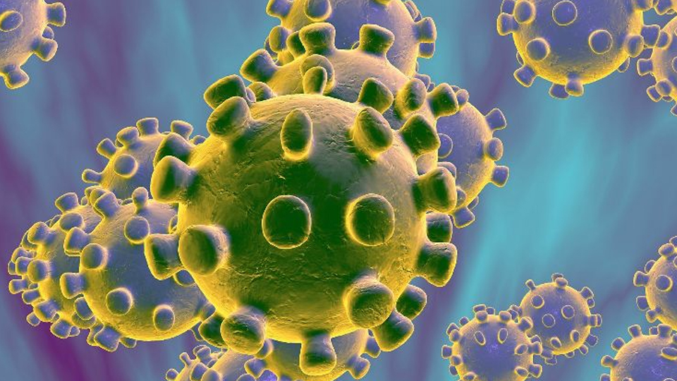 China s new SARS like virus spreads to Japan FBC News China s new SARS like virus spreads to Japan FBC News