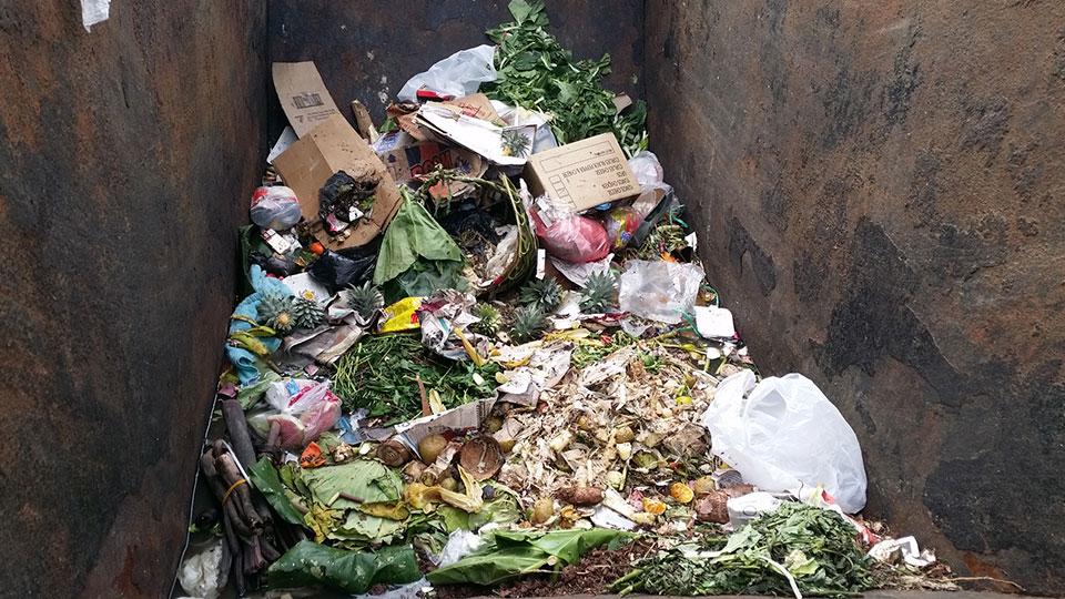 FBC News Waste Management