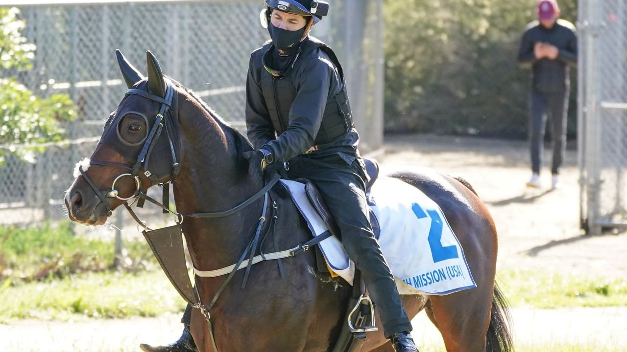 Misión española: Un caballo gana, dice el jinete – FBC News