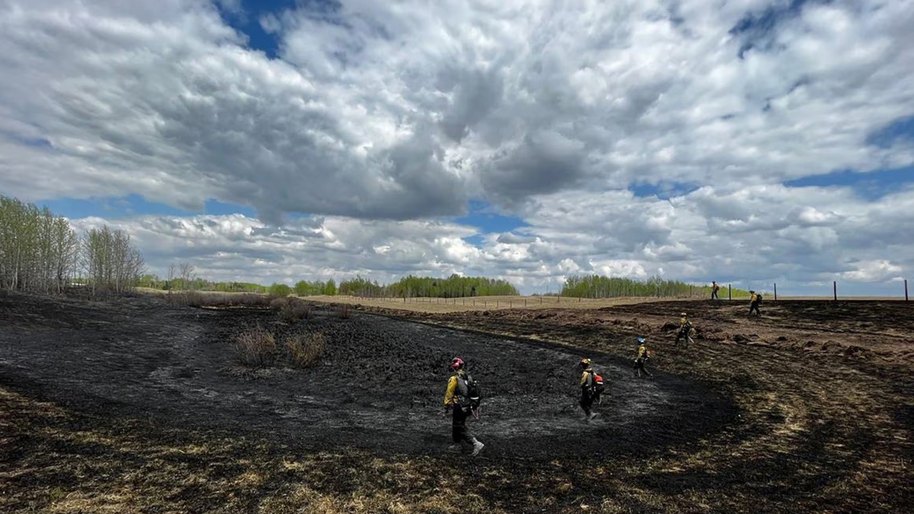 Cooler temperatures offer temporary reprieve for Alberta wildfires