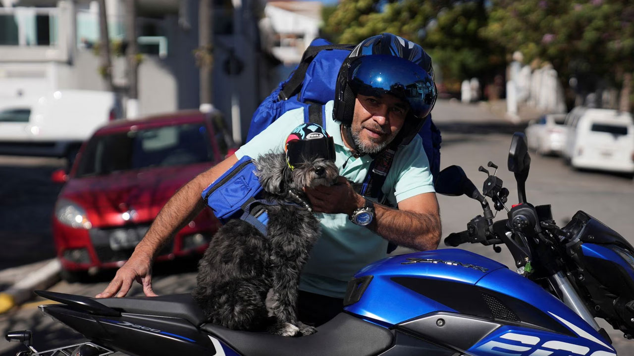 Cachorro moto ajuda cachorros famintos – FBC News