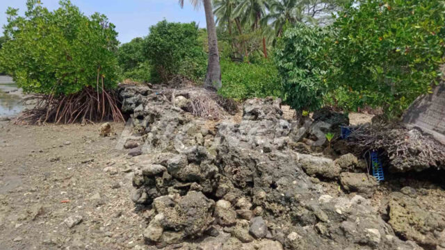 sigatoka river safari boat crash