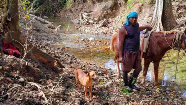 sigatoka river safari boat crash