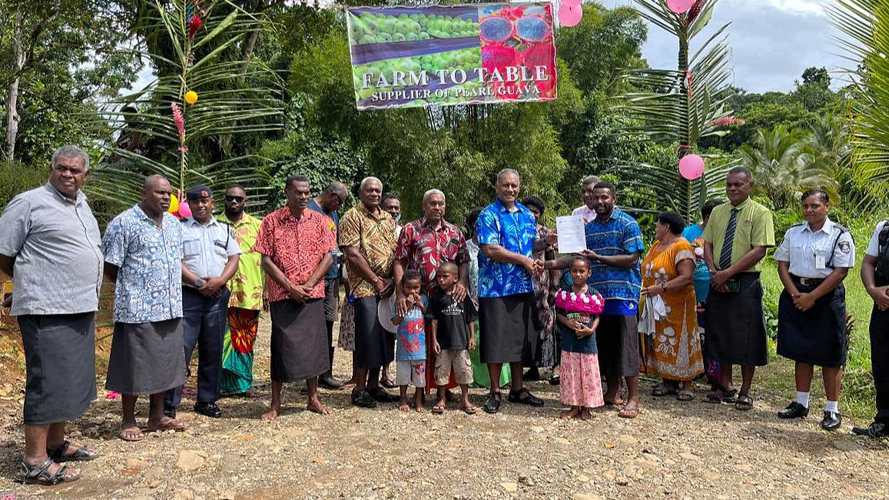 Road project enhances guava farming in Nakalawaca – FBC News