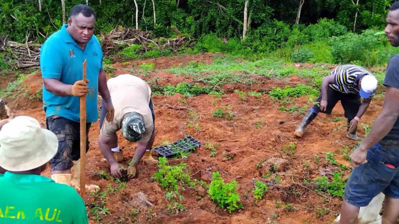 Restoring degrading land a priority – FBC News