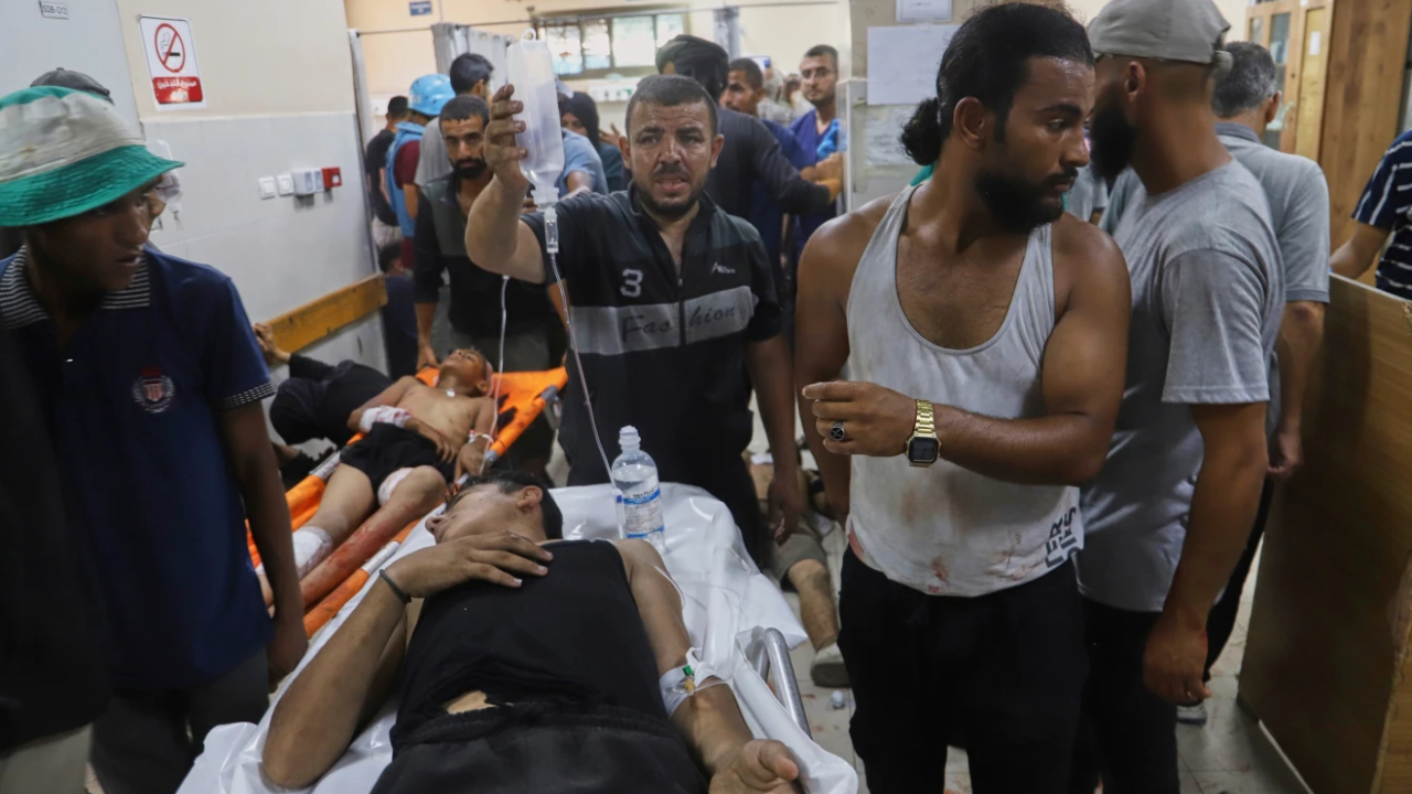 International charities and NGOs call for end.