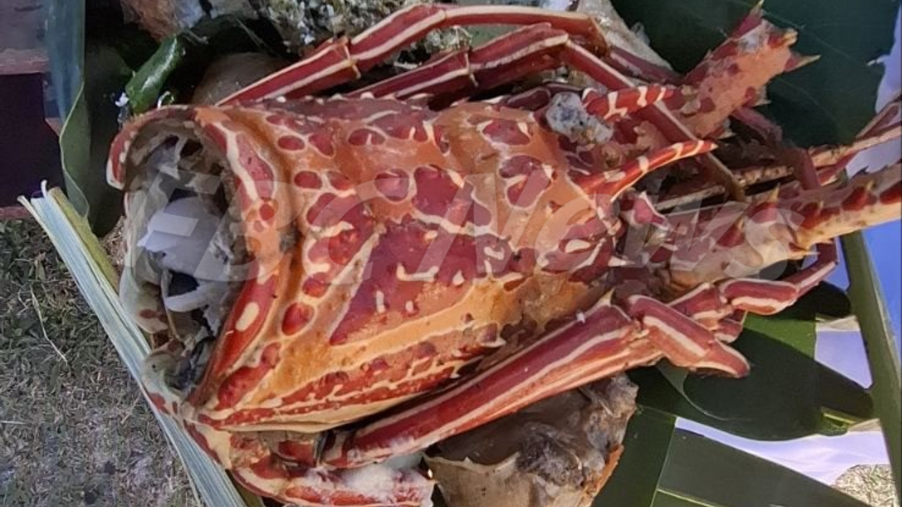 Traditional feast marks Tui Lau installation
